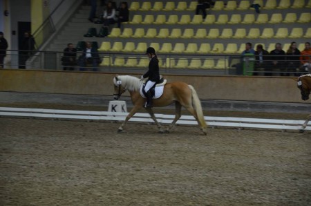 ARGE Materialprüfung